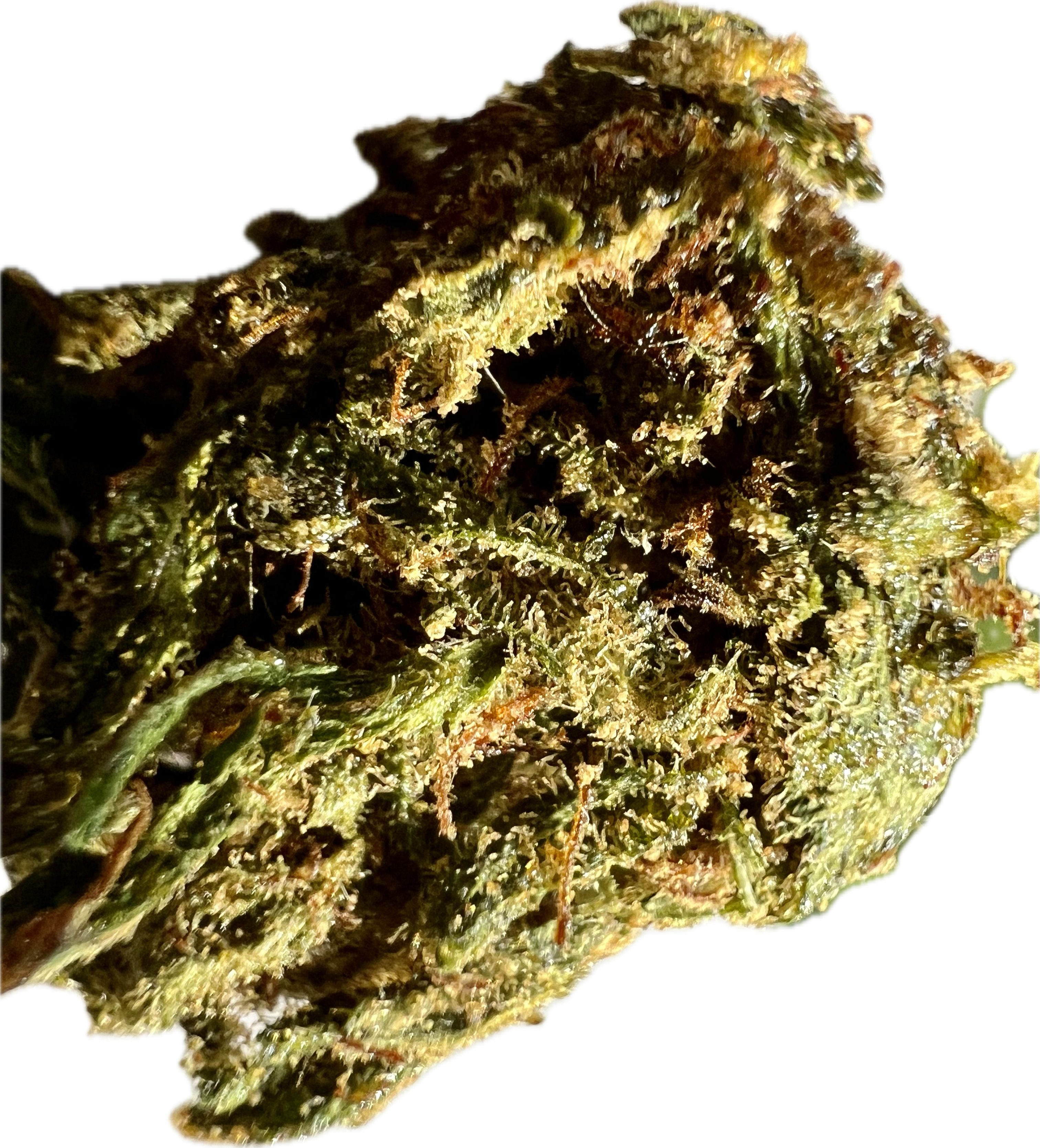 Ripkitty Super Sour Lifter HHC Hemp Flower