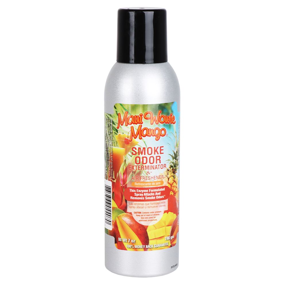 Smoke Odor Exterminator Spray | Year-Round Series