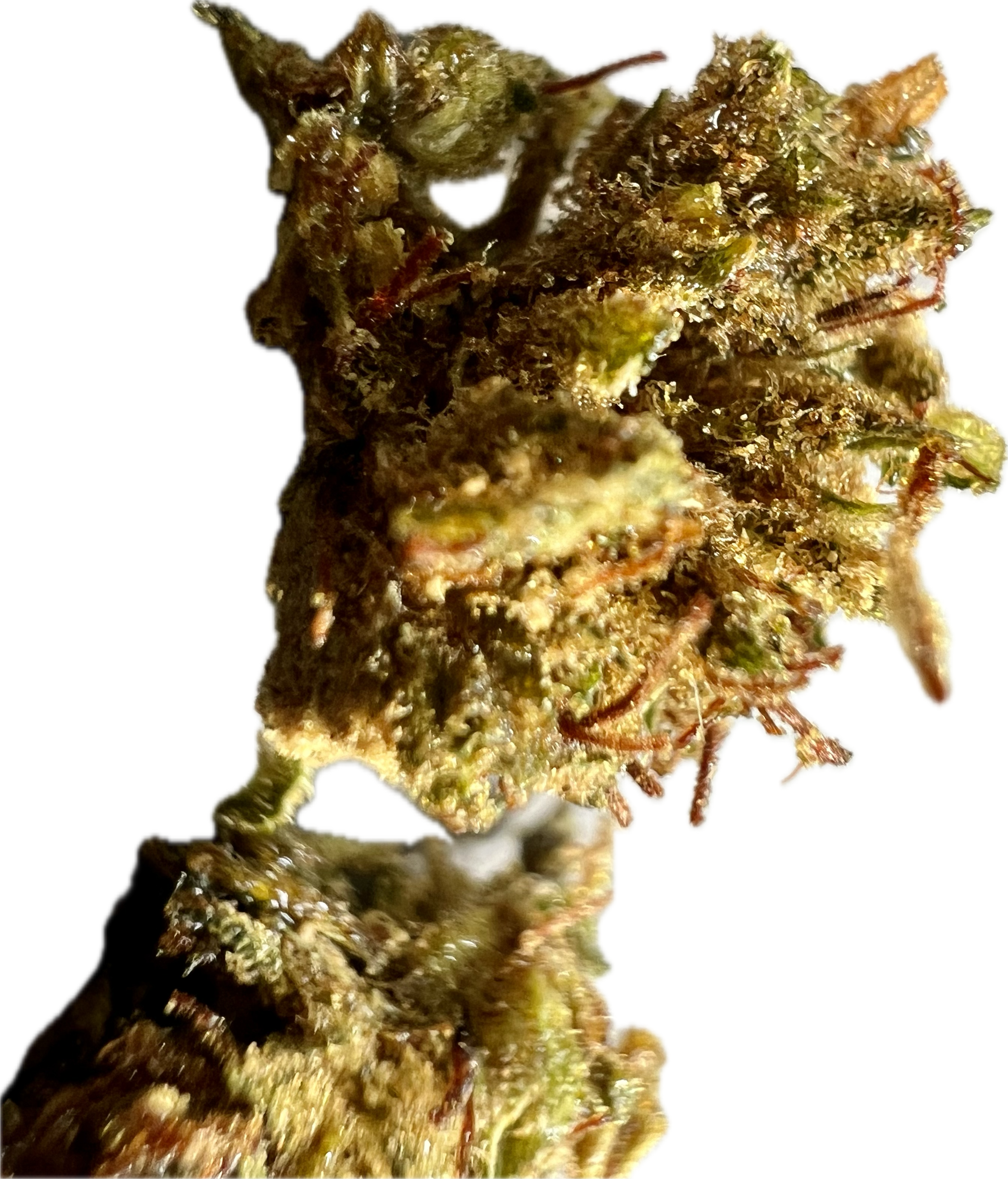 Ripkitty Super Sour Lifter HHC Hemp Flower