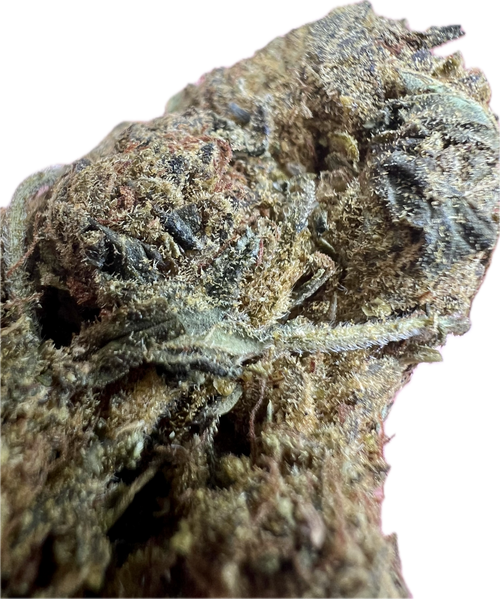 Black Truffle THCA Hemp Flowers — view 2 | Ziggy's Miami