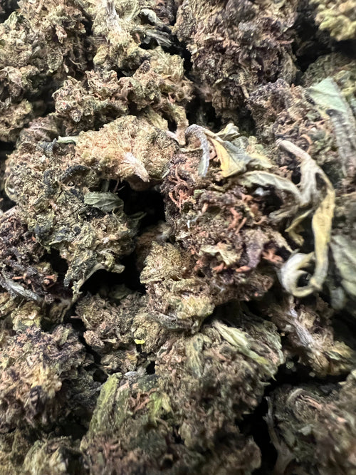 Abacus Diesel CBD Hemp Flower — view 2 | Ziggy's Miami