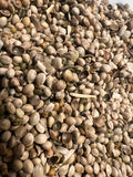Ripkitty Premium Raw Organic Hemp Seeds Poultry Birds