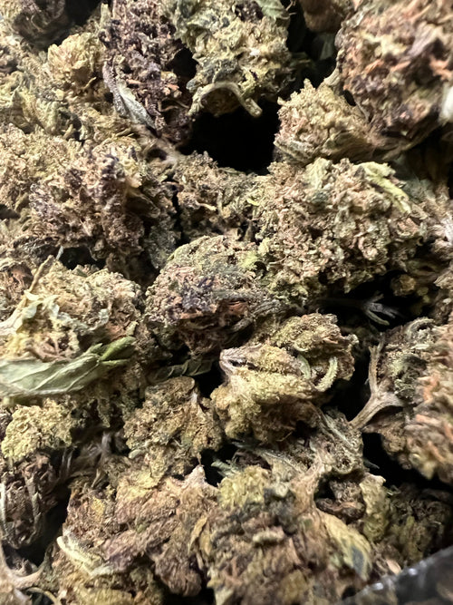 Abacus Diesel CBD Hemp Flower | Ziggy's Miami