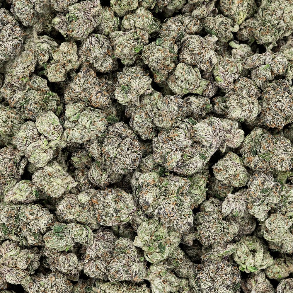 Revelry Premium Indoor THCA Flower | 3.5g