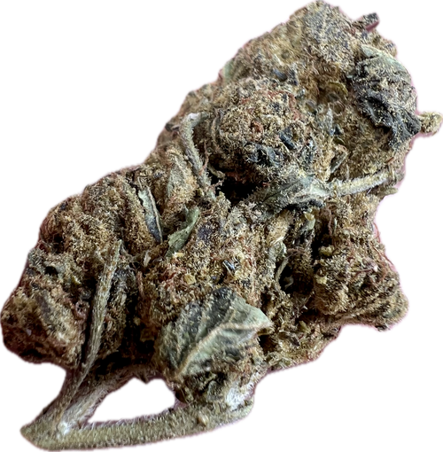 Black Truffle THCA Hemp Flowers | Ziggy's Miami
