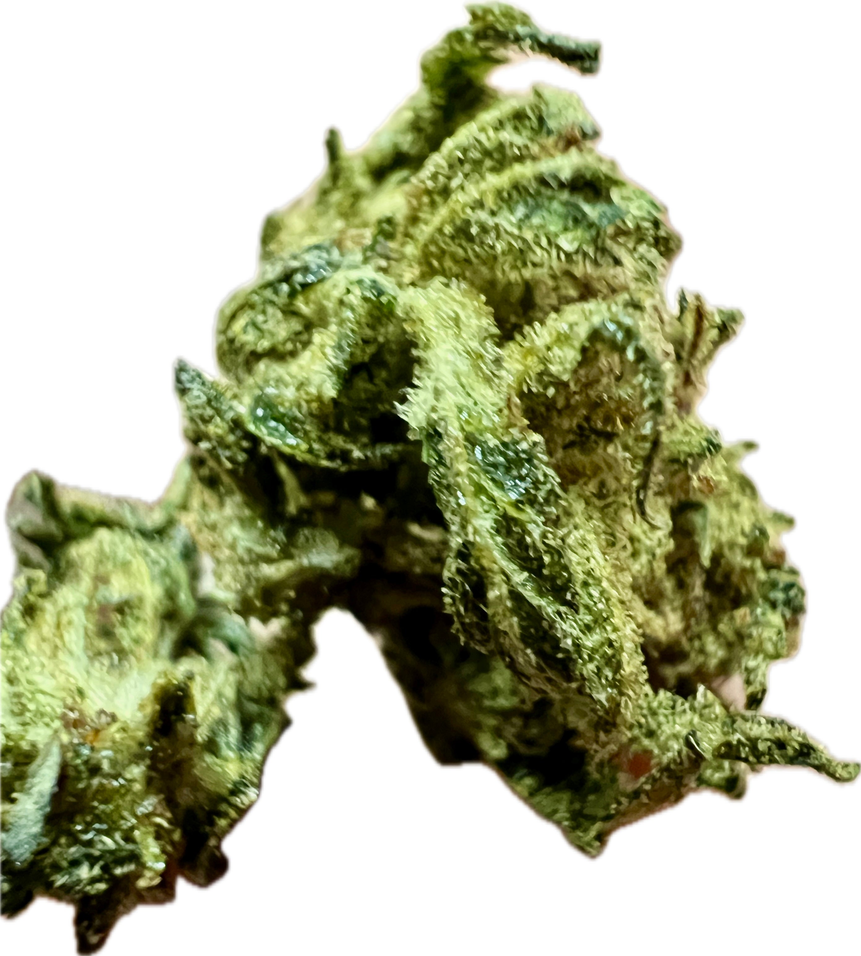 Ripkitty Sour Hawaiian Haze HHC Hemp Flower