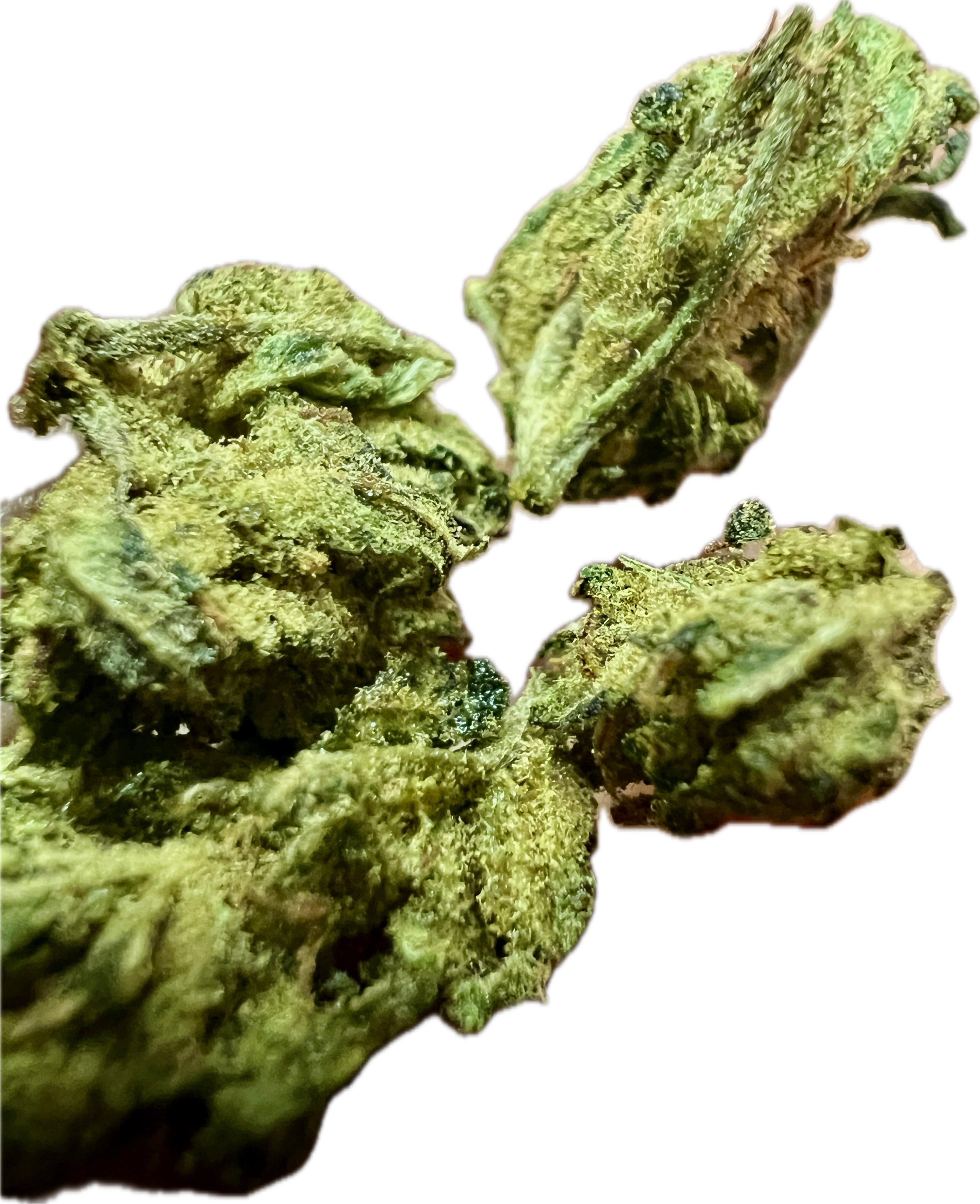 Ripkitty Sour Hawaiian Haze HHC Hemp Flower