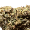 Ripkitty Super Sour Diesel – CBG Kiefed – Terped CBD Flower