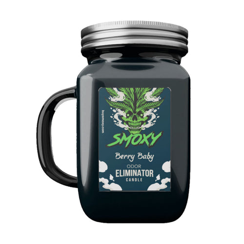 Berry Baby Odor-Eliminating Candle | Ziggy's Miami