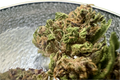 Ripkitty Legendary Platinum OG CBD Hemp Flowers