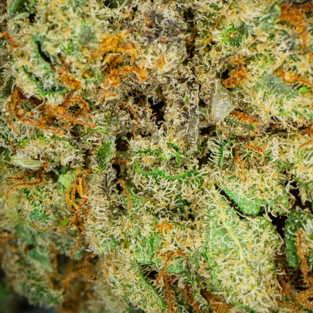 Emarald Herb Lifter (CBD) Flower