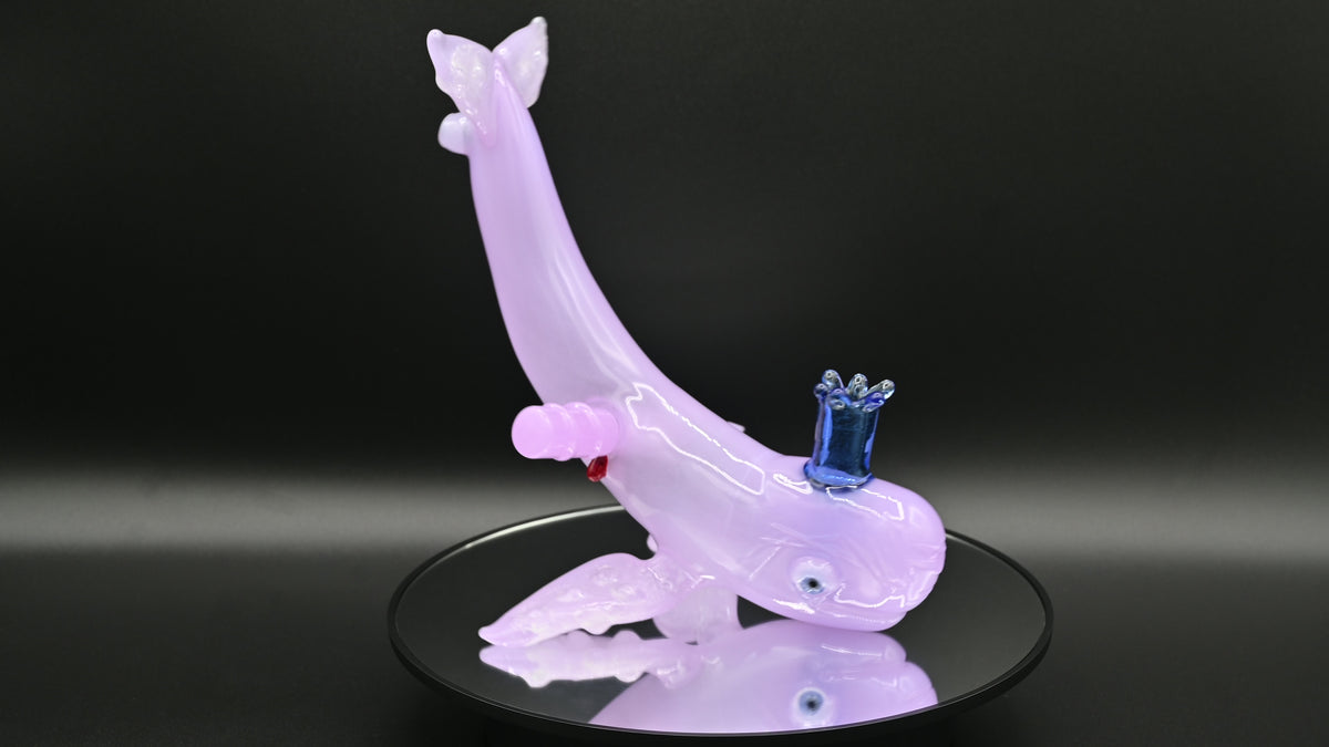 Chad Lacy Moby Dick Cotton Candy