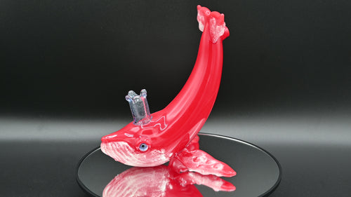 Chad Lacy Red Whale