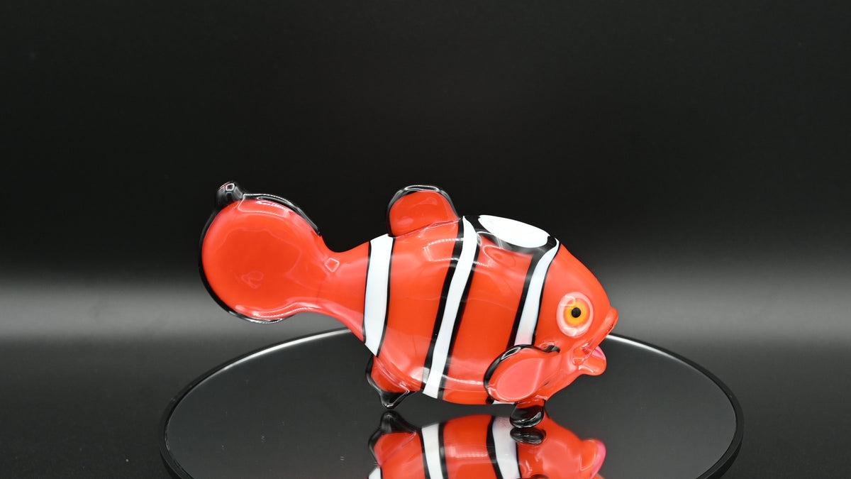 Niko Cray Clown Fish
